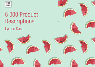 Preparing 6,000 Product Descriptions for an Online Store, in Storytelling Format, in Just 8 Months — Lyreco Case