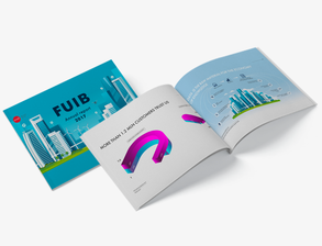 FUIB Annual Report 2017